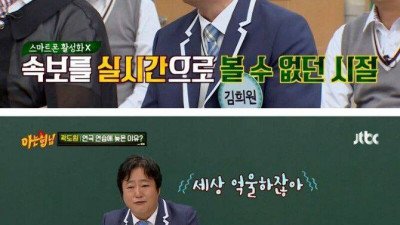 얼룩말 사태 이전에 있었던 코끼리 탈출사건