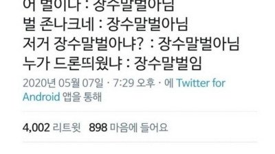 유독 믿지 못할 소문만 무성한 곤충