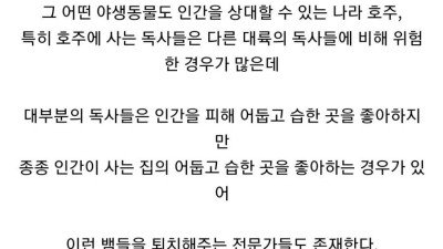 진상도 서비스 먹튀 못 하는 업종