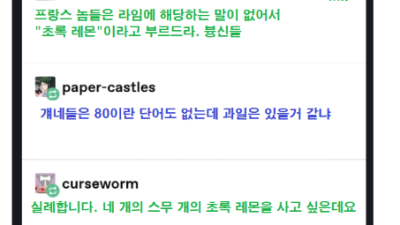 있는 게 없는 프랑스어 vs 없는 게 없는 독일어