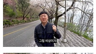 공무원의 벚꽃축제 비상근무를 보는 충주시 유튜버