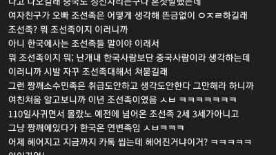 조선족 여친과 헤어진 디시인