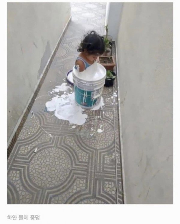 9a40093b85b3c00eb55e61f54f2a9f9c_1680323705_5207.jpeg