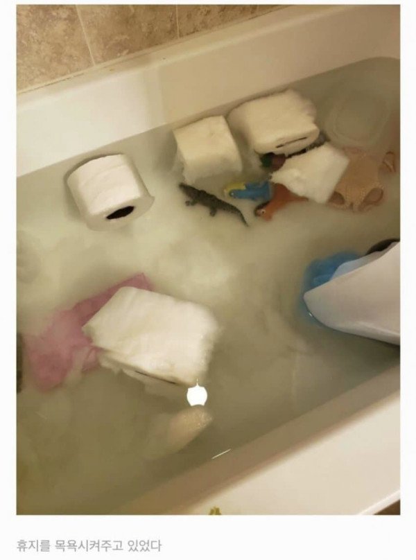 9a40093b85b3c00eb55e61f54f2a9f9c_1680323705_914.jpeg