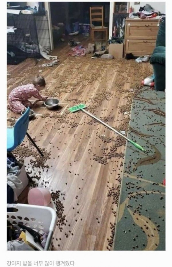 9a40093b85b3c00eb55e61f54f2a9f9c_1680323723_5499.jpeg