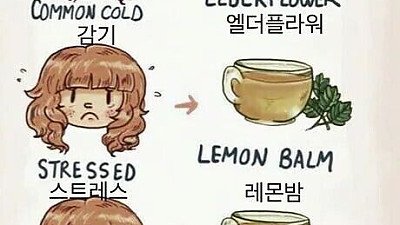 증상별 도움이 되는 차