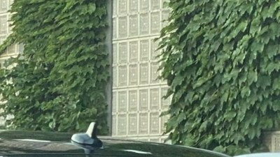 자신이 초보운전이라는 걸 알려주는 사람들