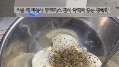 30대를 욜로로 보낸 어느 40대의 현실