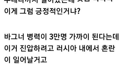 러우갤 지능 상위 3프로