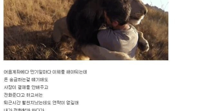 회사 부도난 디시인