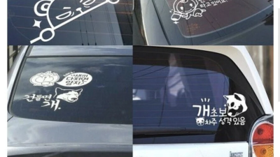 운전자 가짜 광기vs진짜 광기