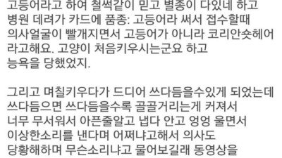 엉엉엉 의사선생님 저희집 냥이가 많이 아픈가요ㅠㅠㅠ