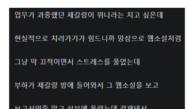 이말년이 준비 해놨던 삼국지 웹툰 초기설정