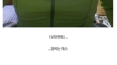 유명한 캐릭터 코스프레한 디시인