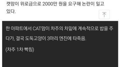 캣맘 엿먹이는 방법