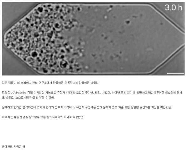 e9cf713dfb8f38d4f13bb5c6a46bcbb4_1689828775_3129.png