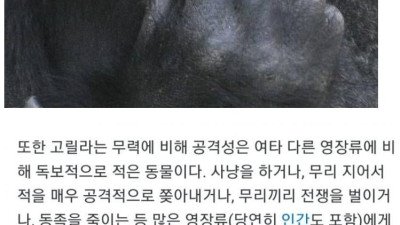 의외로 인간을 죽인 사례가 없는 동물