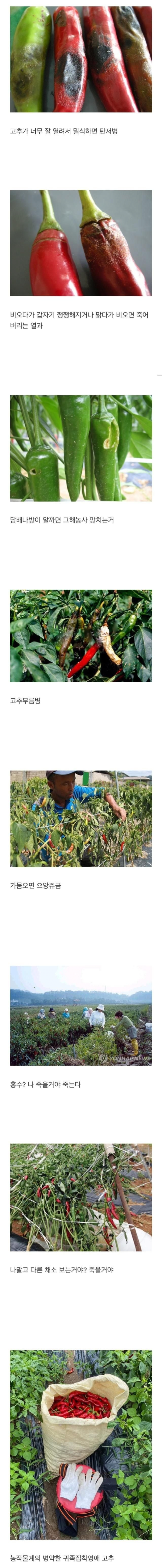 b20e3738a94d527a4e6085f1fce5d93d_1693978553_2845.png